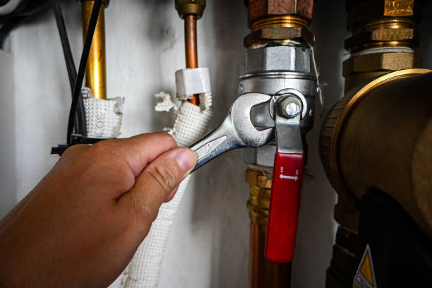 Best Same-Day Plumbing Service  in Livingston, LA
